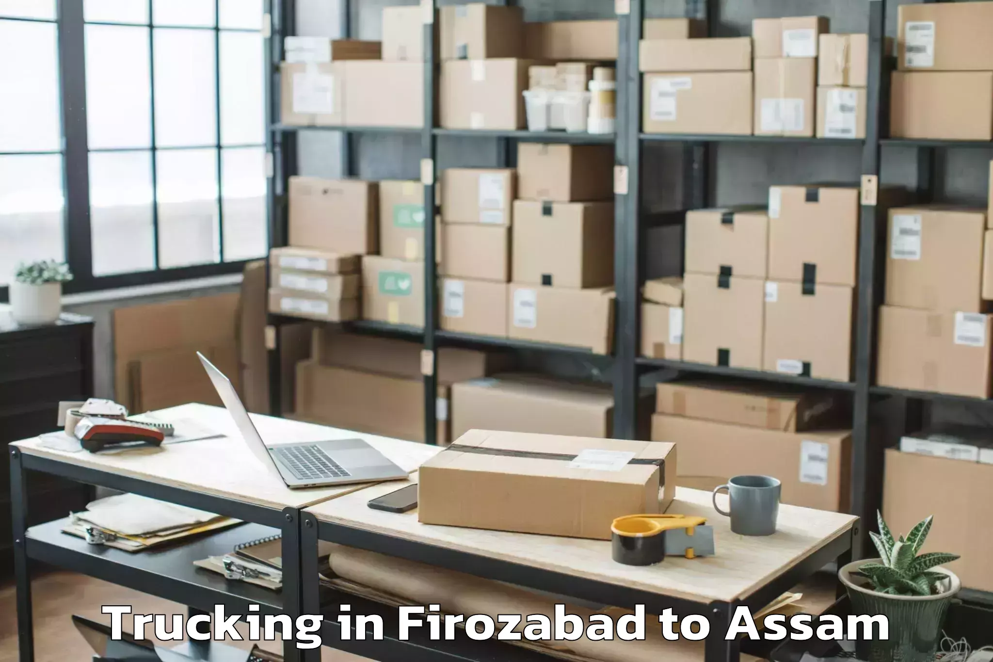 Top Firozabad to Dhubri Trucking Available